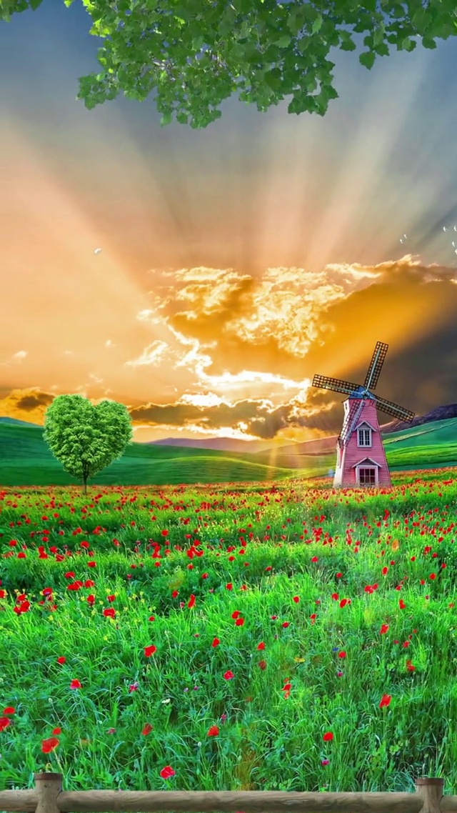 愿所有美好如约而至