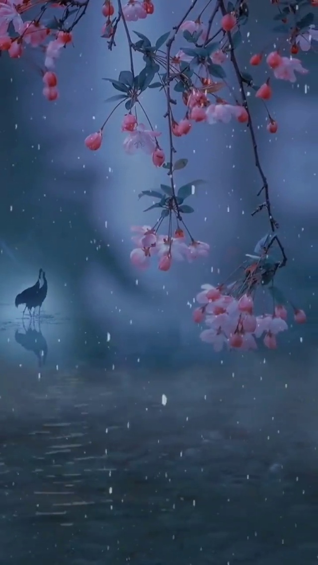 治愈美景9