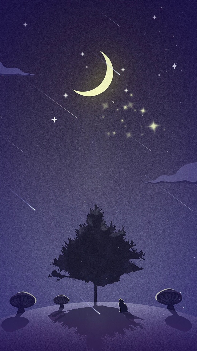 夜晚的流星