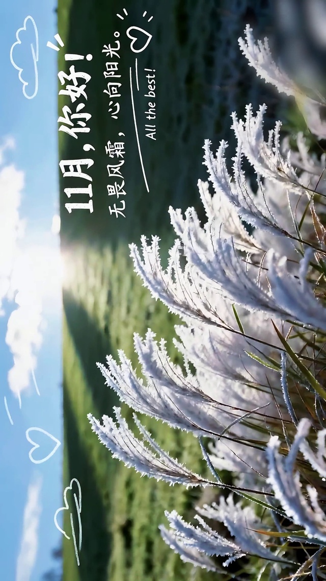 11月你好心向阳光
