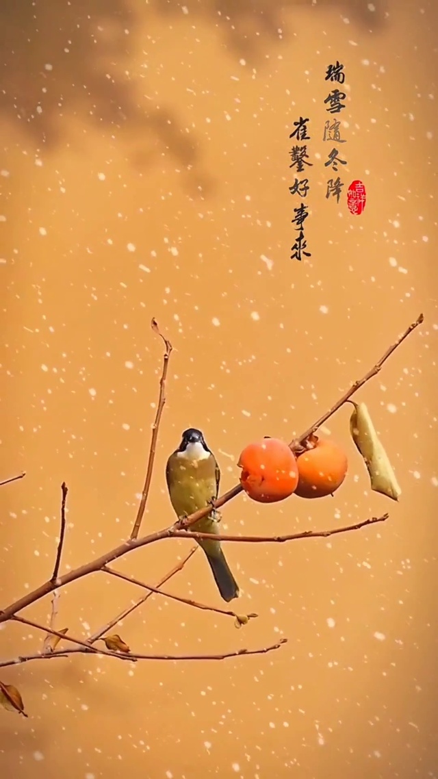 瑞雪随冬至 雀凿好“柿”来