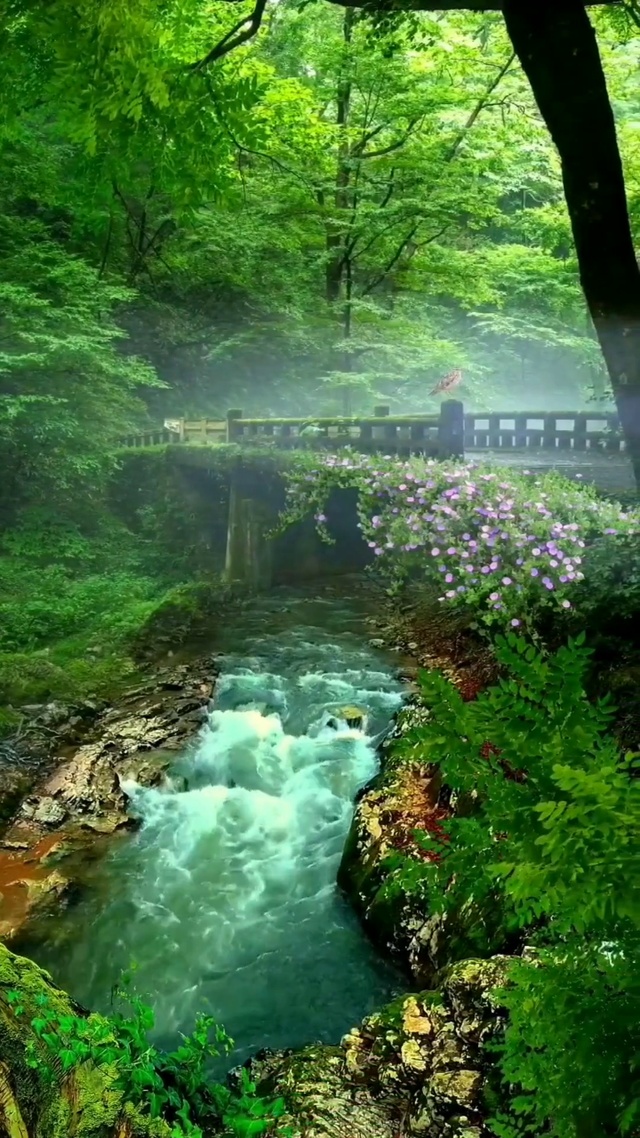绿水青山