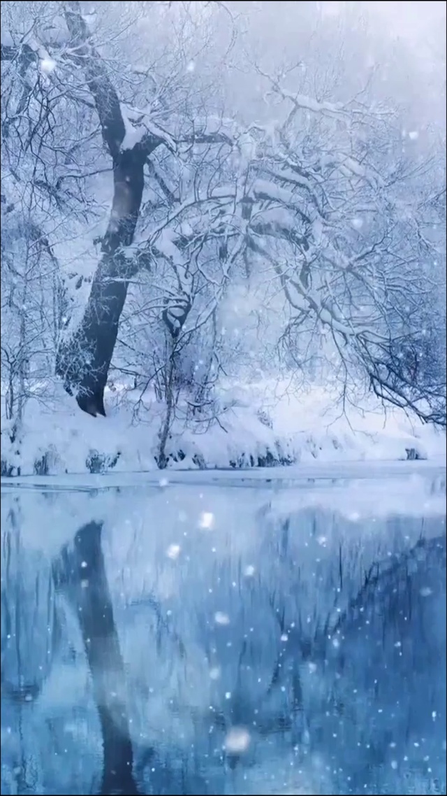冬季雪景