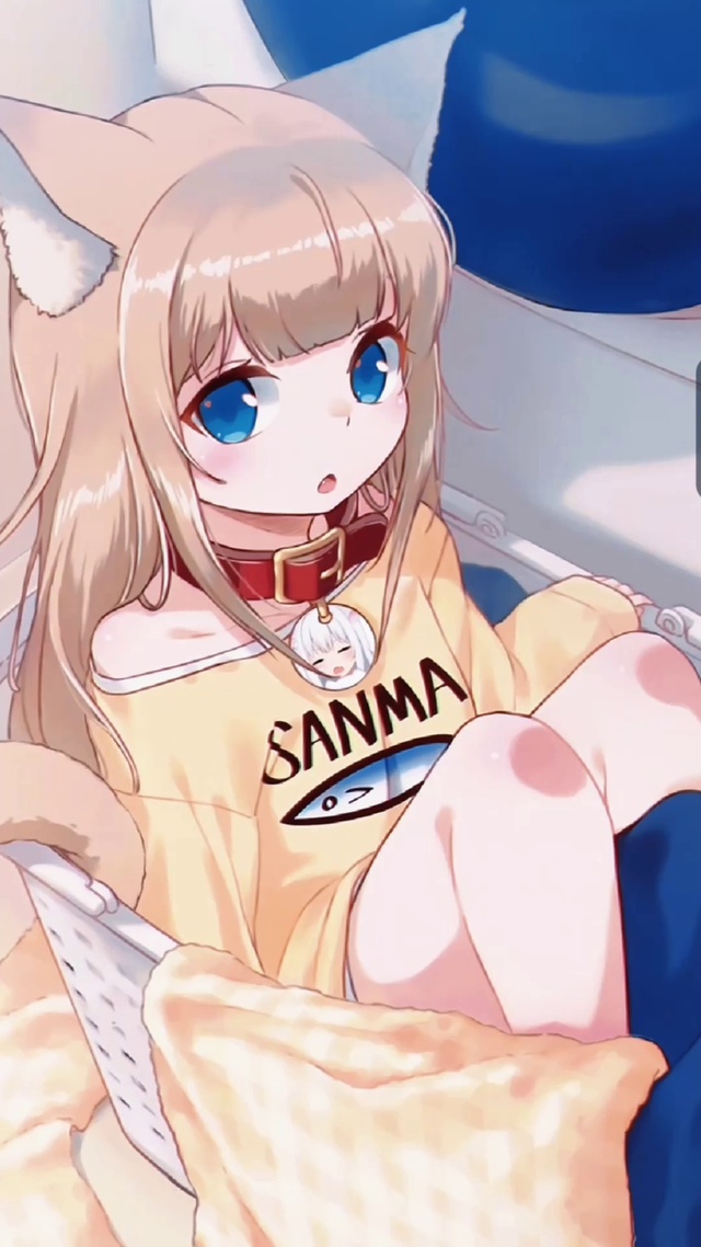 衣篮里的小奶猫