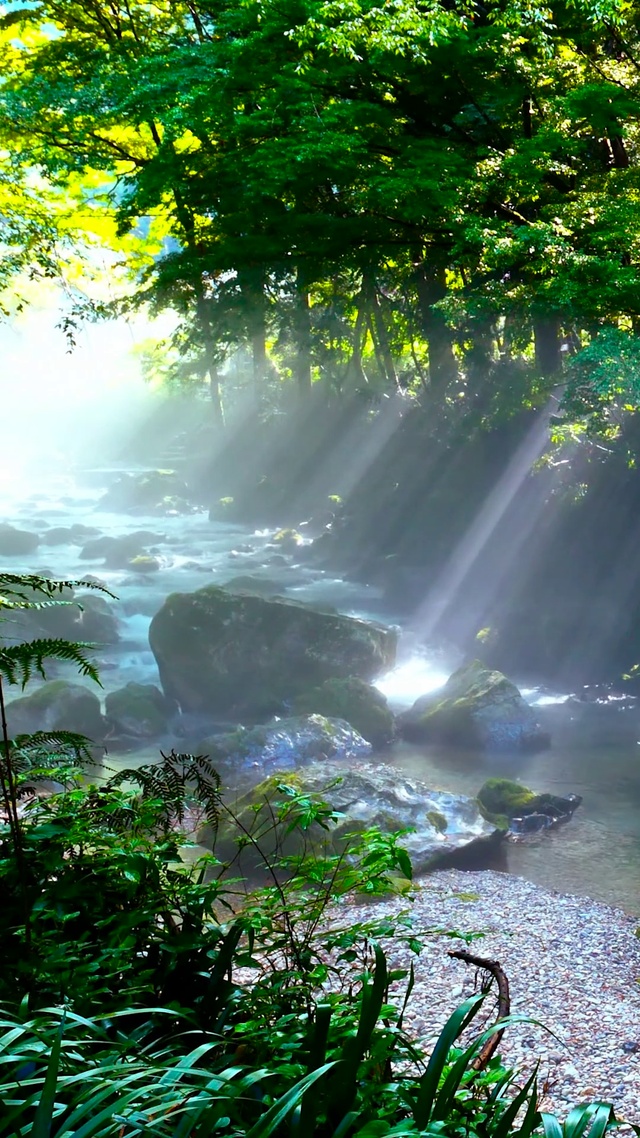 夏日清晨阳光雾气流水