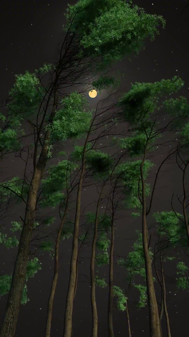 凉风解困不解愁，繁星伴月入双眸