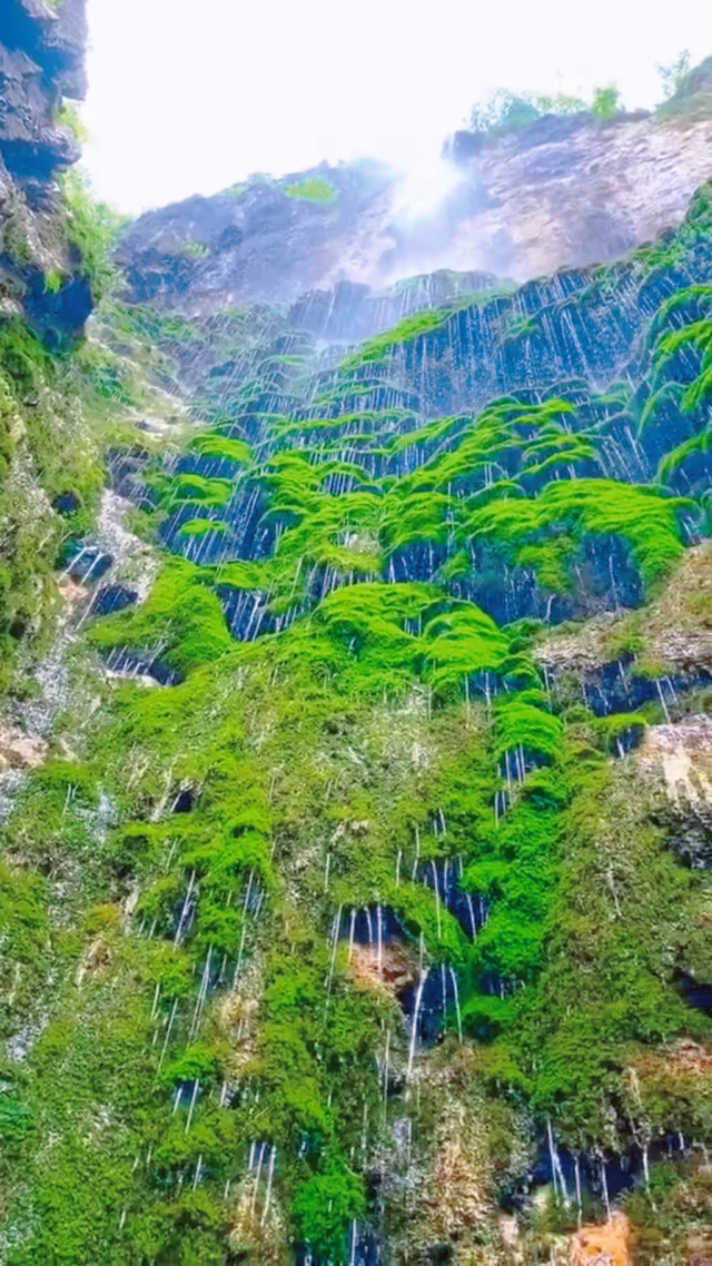 高山流水