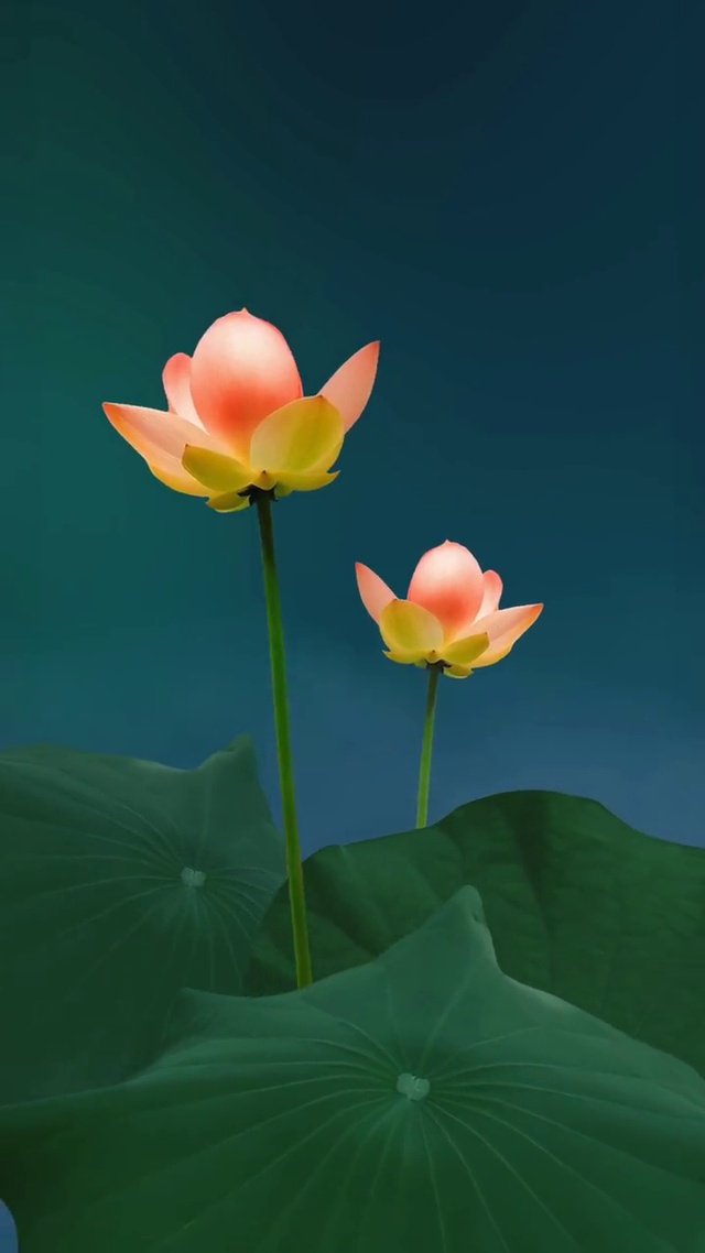 红尘美景