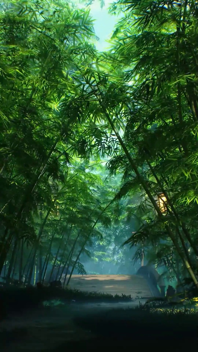 竹林风