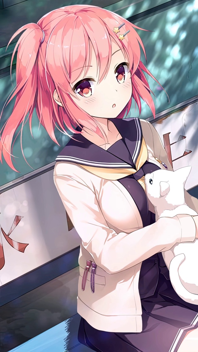 少女与猫