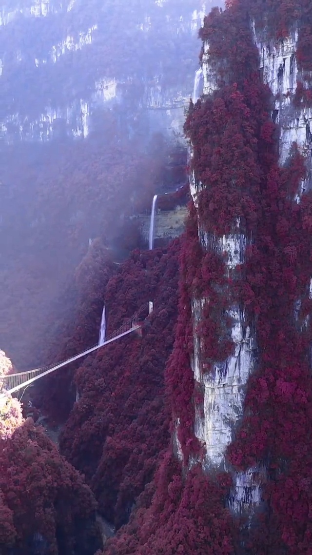 飞流直下三千尺