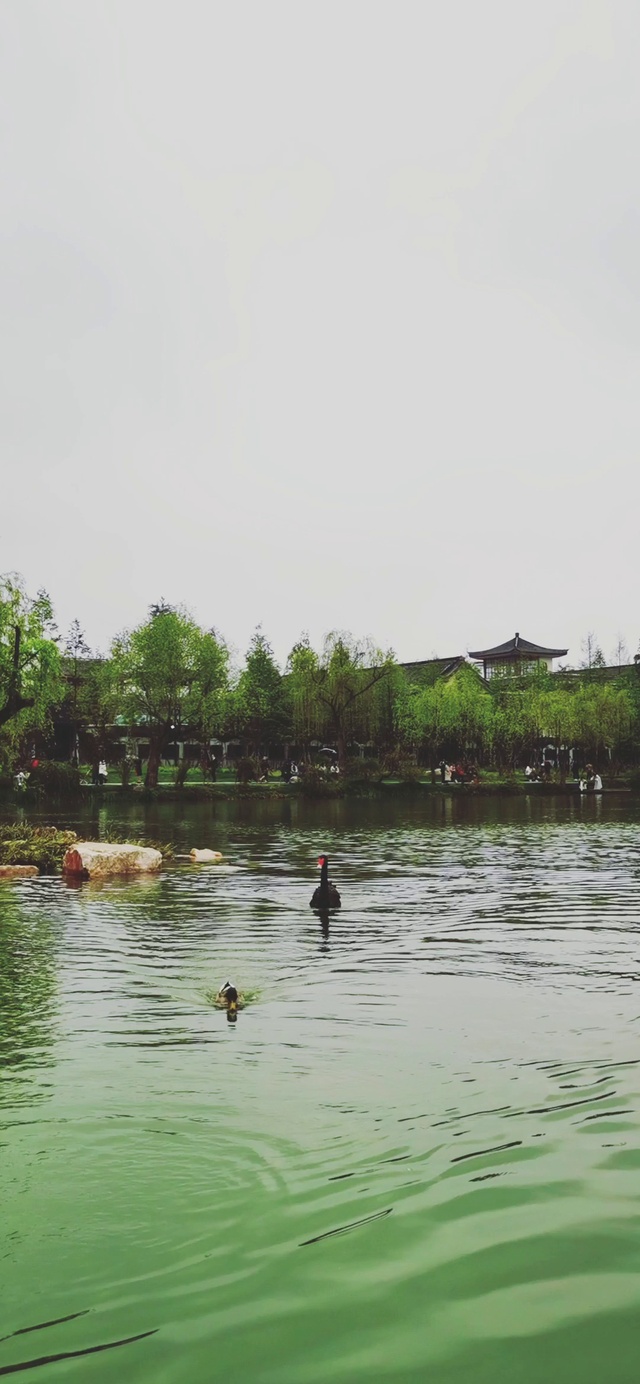烟花三月瘦西湖