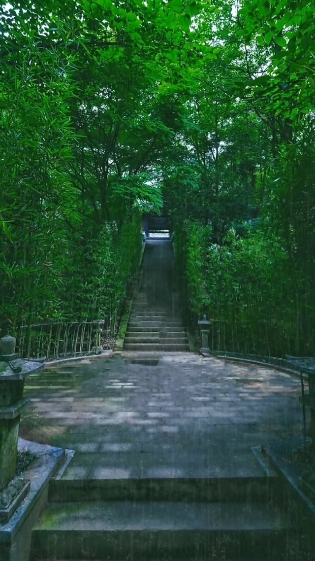 真正的安静，不是深山古刹的寂静，而是我们内心深处的清净。“何期自性，本自清净。