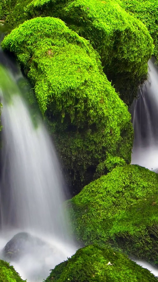 夏日绿色护眼小溪流水