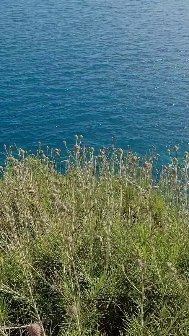 海边风景