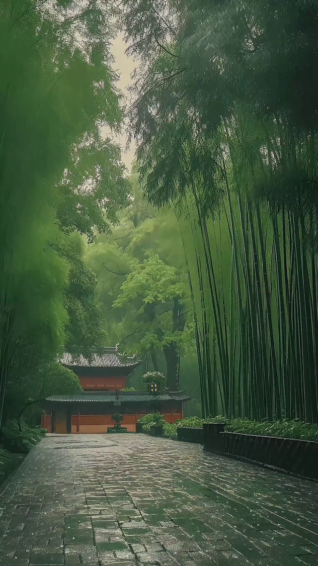 许愿竹林4k(风景手机动态壁纸) - 风景手机壁纸下载 - 元气壁纸