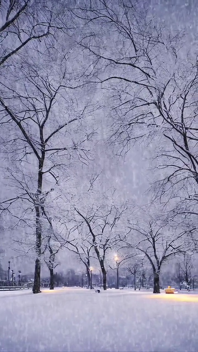 瑞雪兆丰年