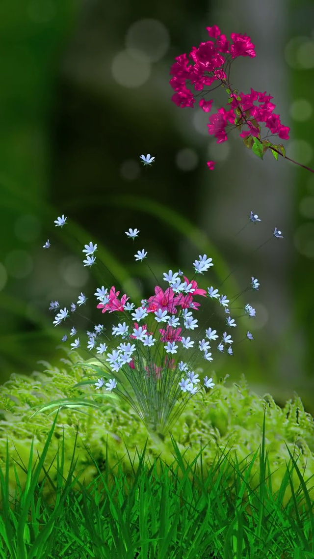 风有约，花不误，岁岁如此，永不相负；但愿日子清净，抬头遇见的都是柔情
