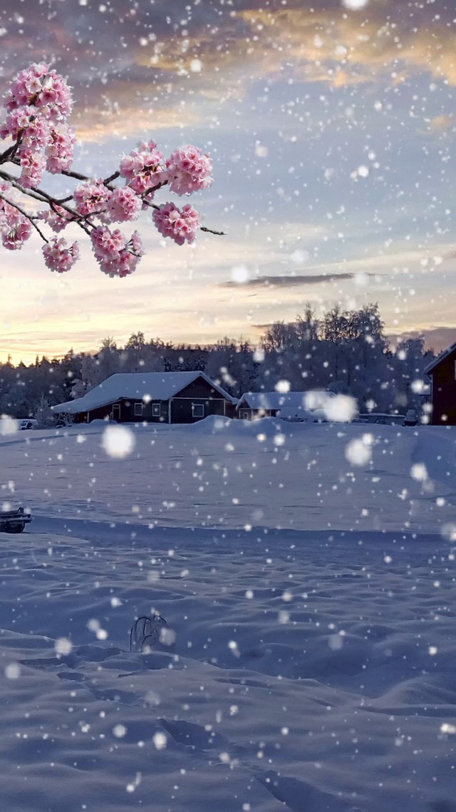 纷纷扬扬，银装素裹