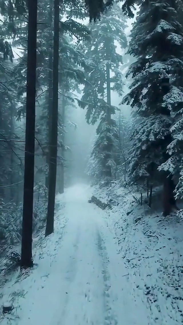 我对你又何止是执迷不悟