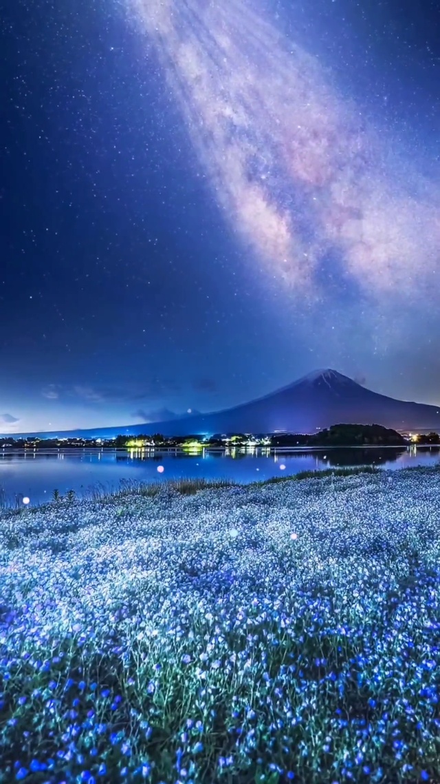 这世间
美丽易碎
不必慌乱
只要静然于心
就会海阔天空