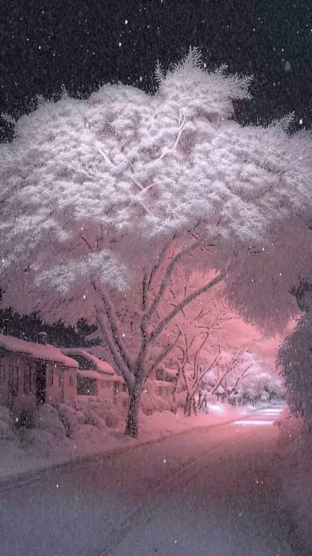 浪漫治愈粉色雪景