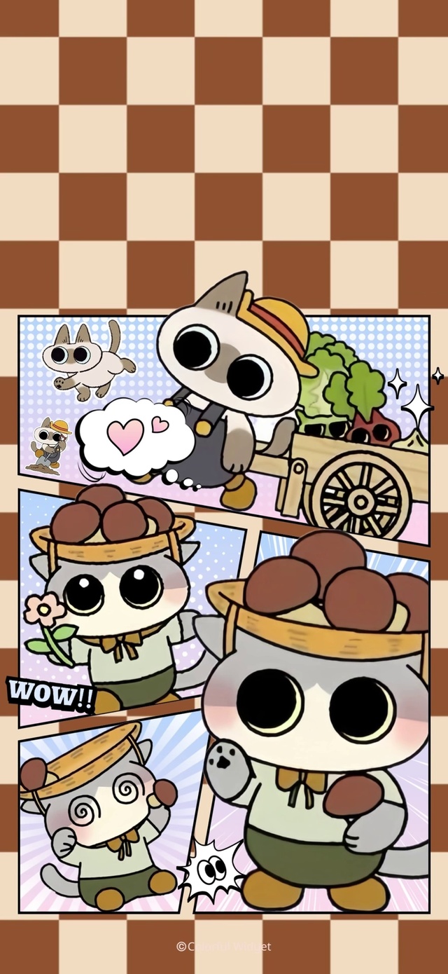 小豆泥动态壁纸