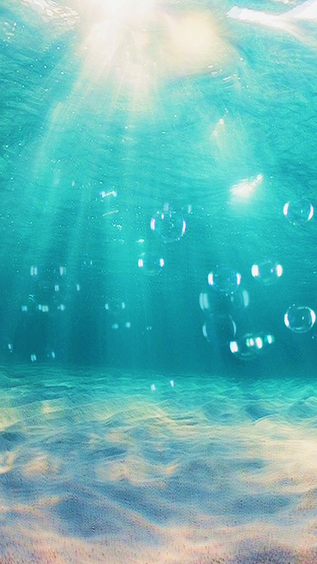 海洋世界