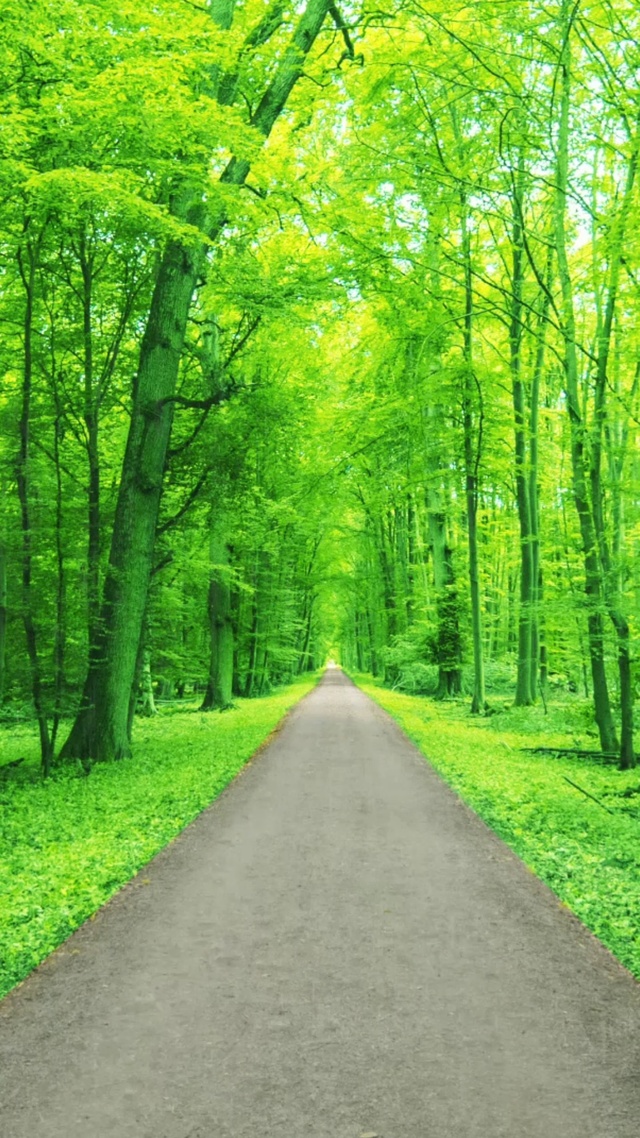 第一眼就喜欢的人真的会喜欢很久