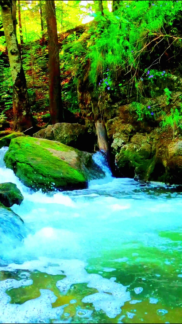 护眼绿水青山 4K