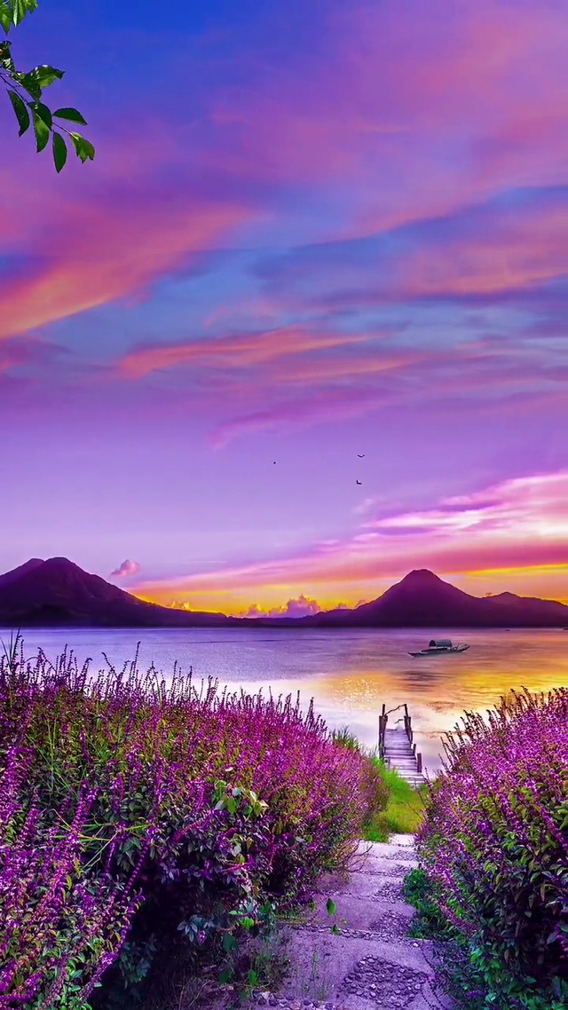  落日沉溺于橘色的光，
晚霞沦陷于紫色的海！