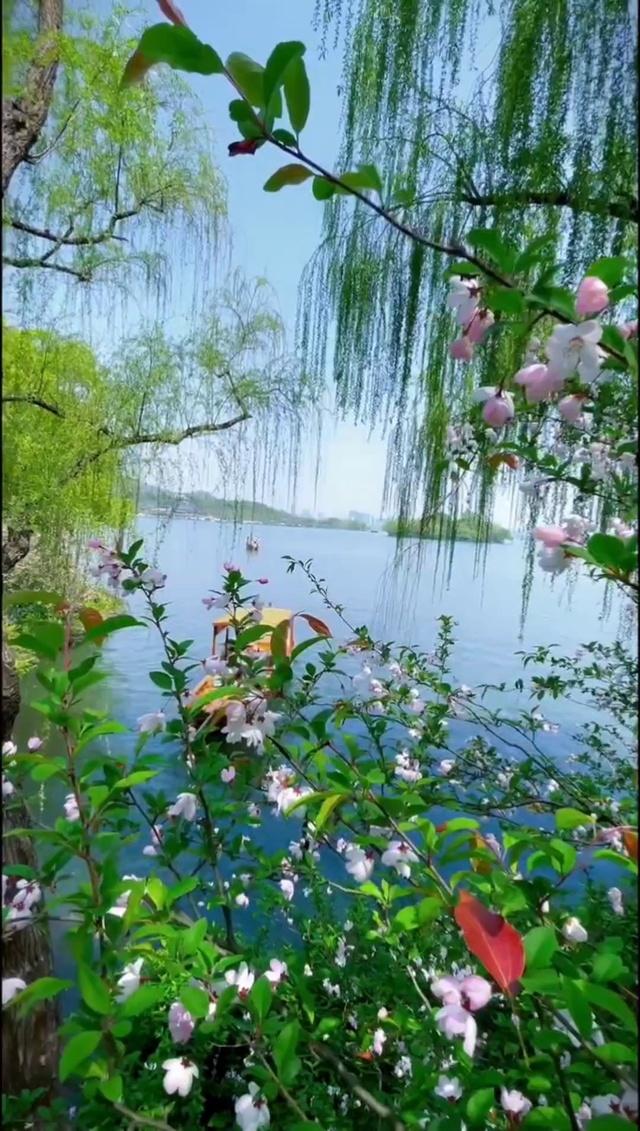 江上来客