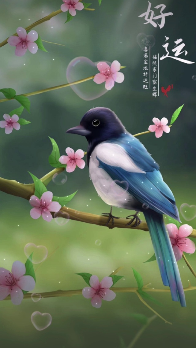 好运喜鹊