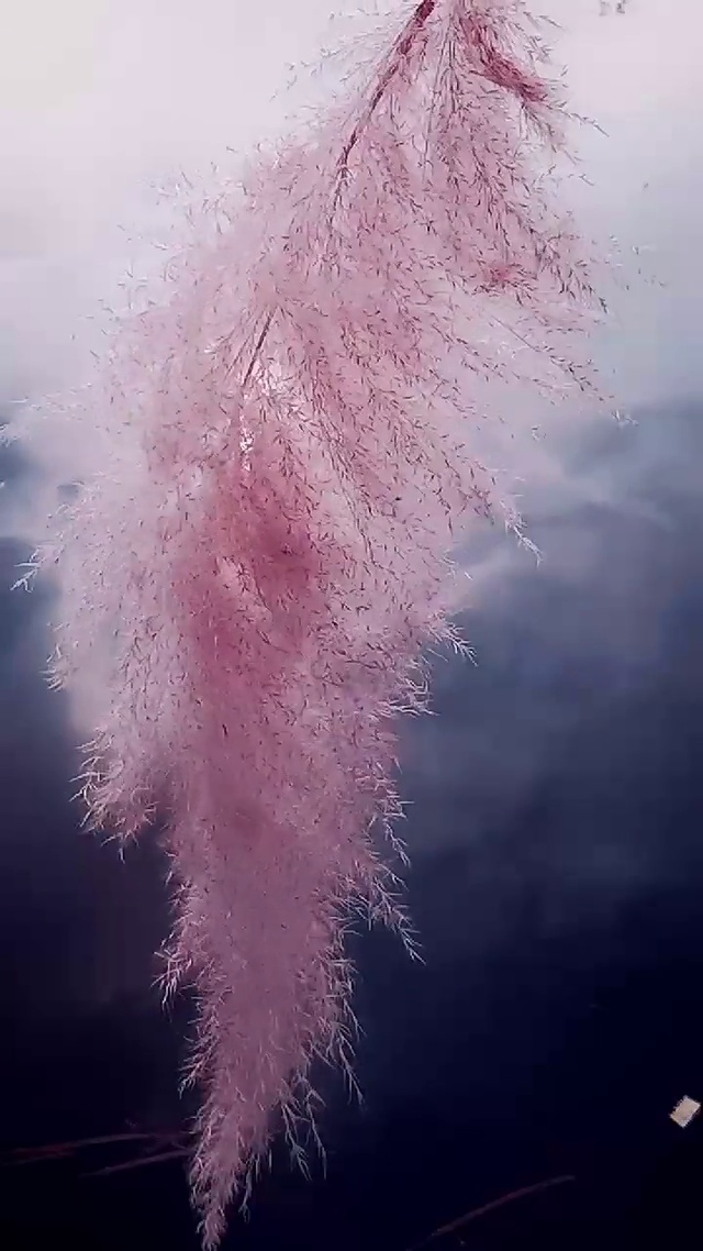 秋天之美