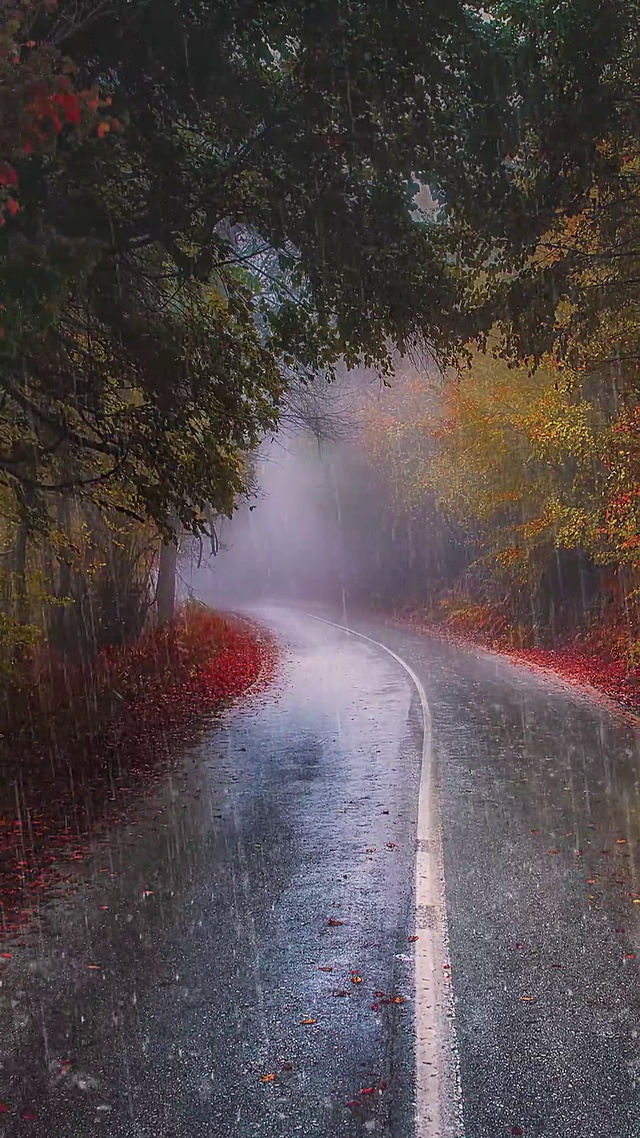 雨天手机高清壁纸