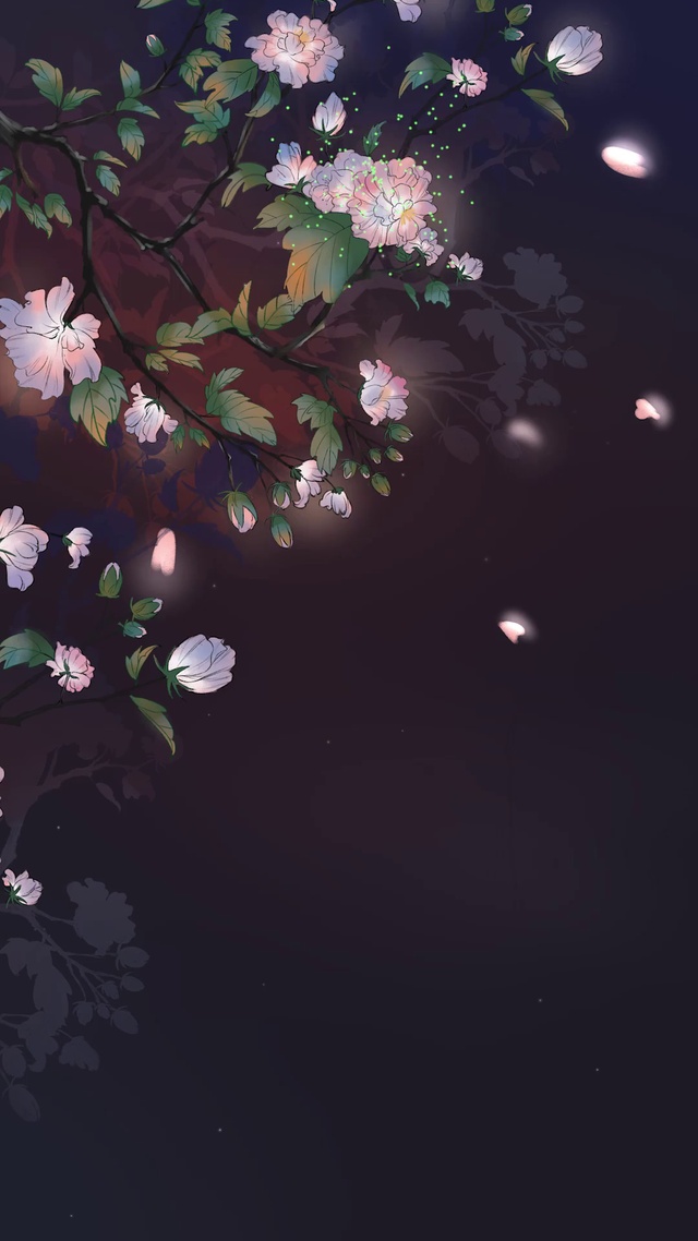 夜晚花开手机壁纸