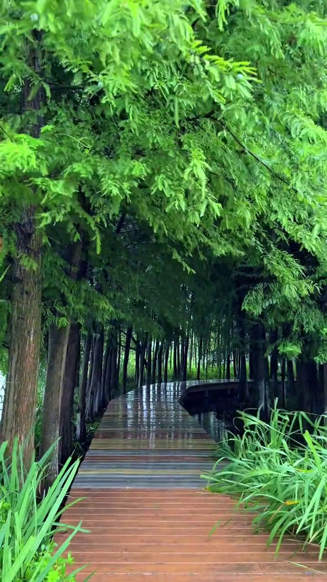 曲径通幽处，禅房花木深
