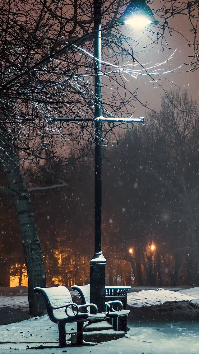 下雪的公园