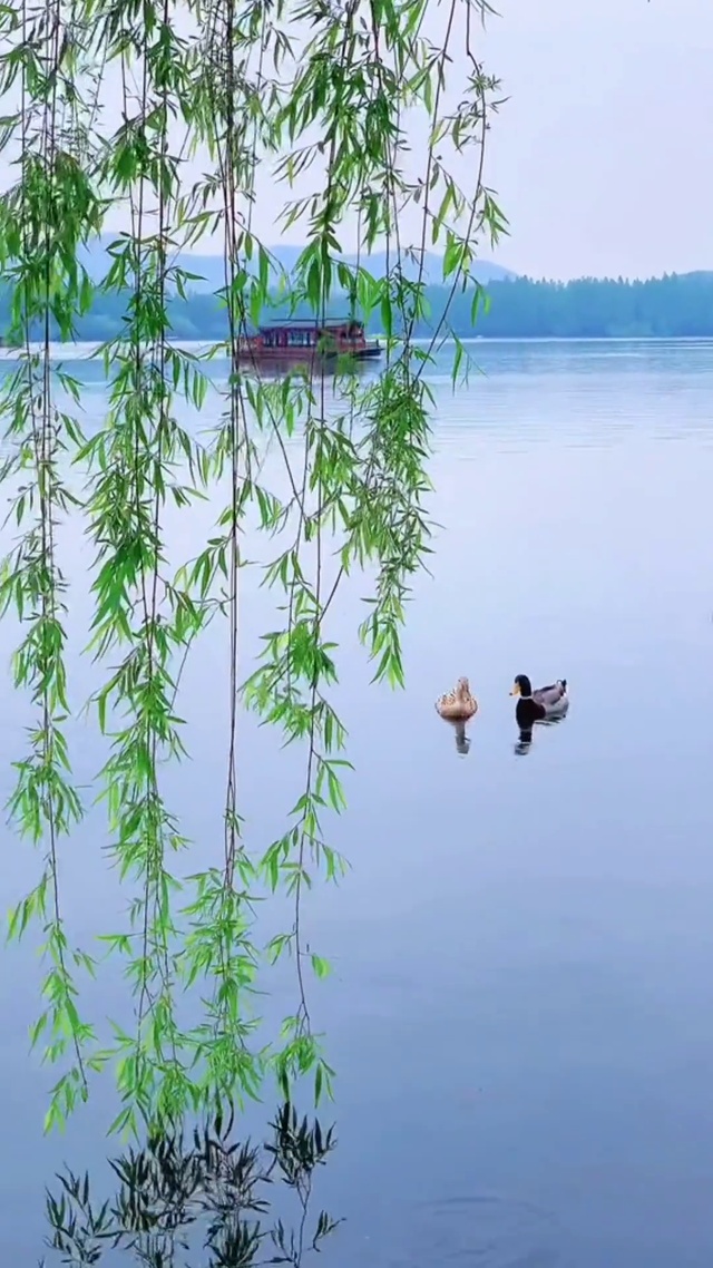 春水荡漾(风景手机动态壁纸) - 风景手机壁纸下载 - 元气壁纸