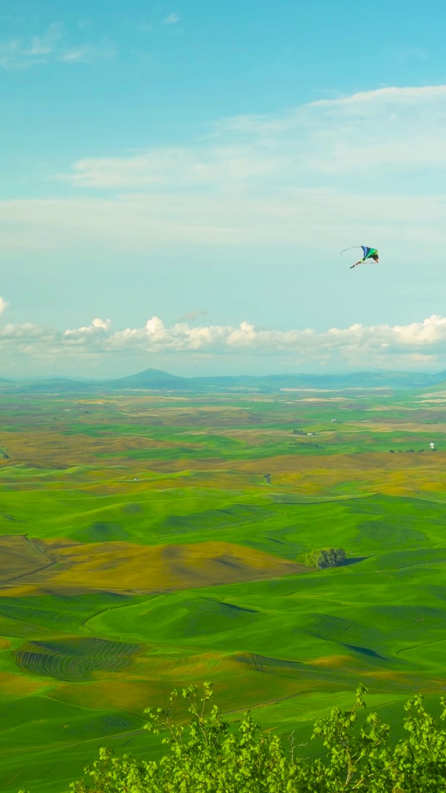 蓝天白云草原风筝