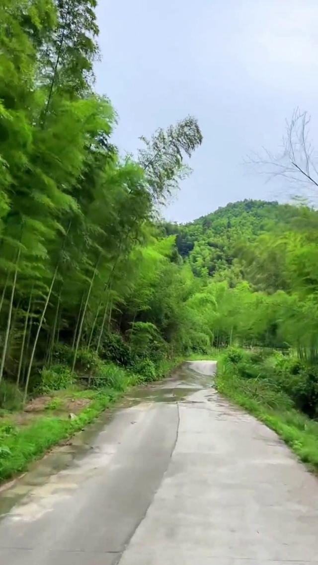 累了 就出去走走(风景手机动态壁纸) - 风景手机壁纸下载 - 元气壁纸