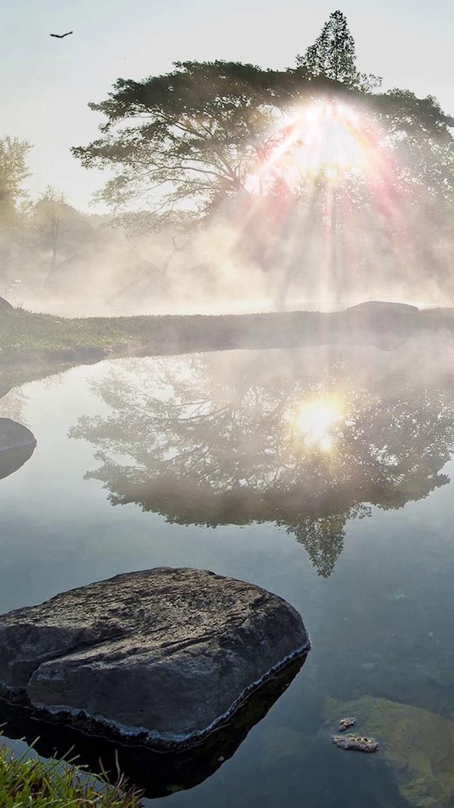 唯美夕阳河流雾