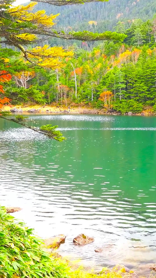 4K秋林高山湖