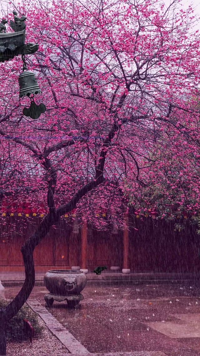 一场秋雨一场寒