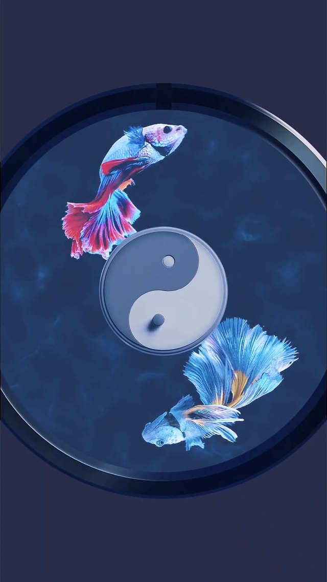 鱼为灵，水为财