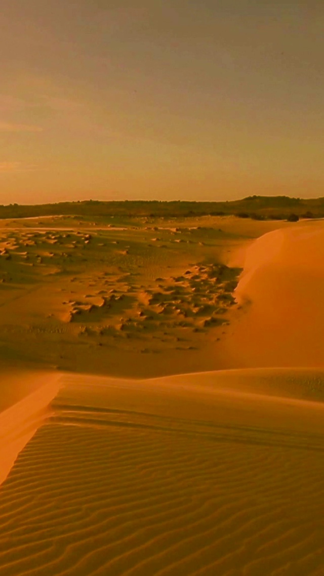 4K 高清 撒哈拉沙漠的地平线