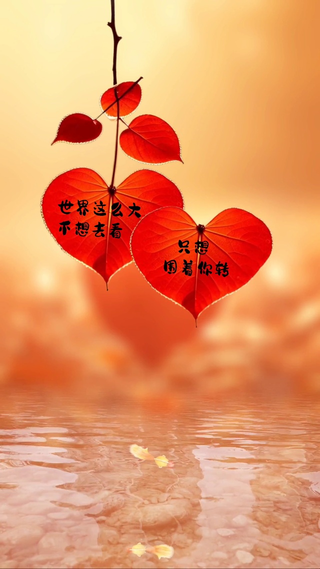 世界那么大不想去看，只想围着你转