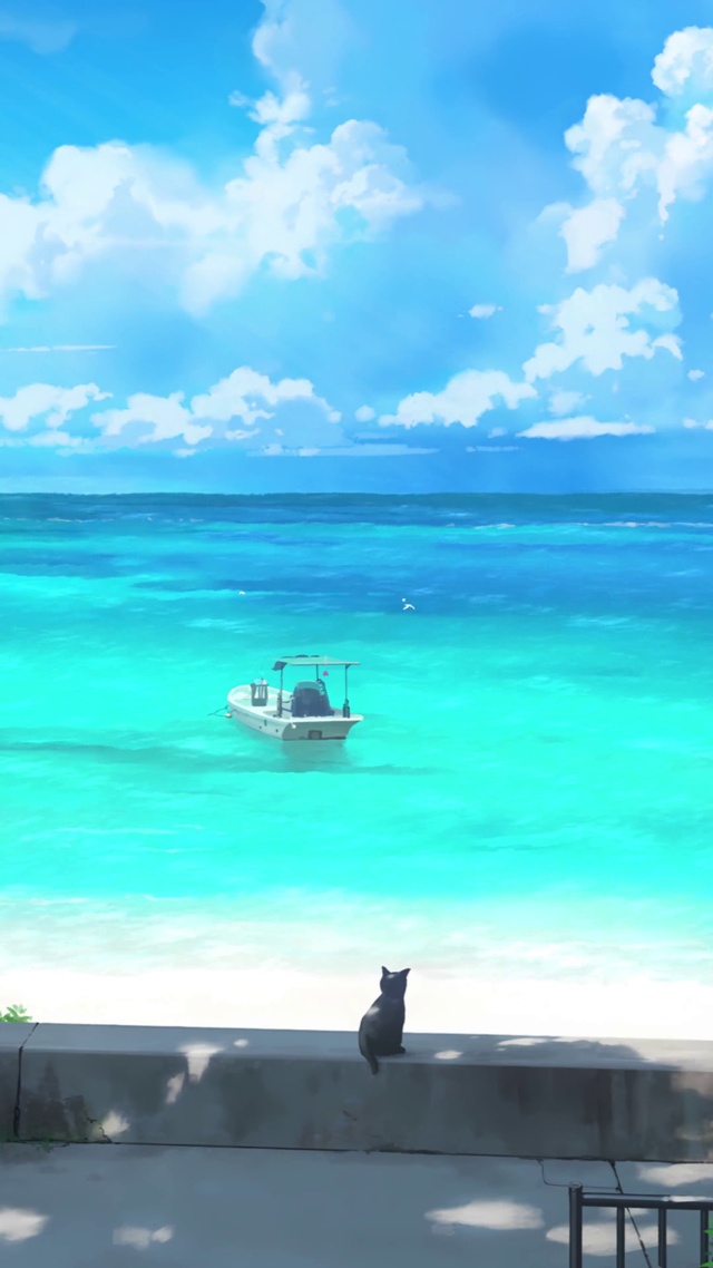 海边猫咪