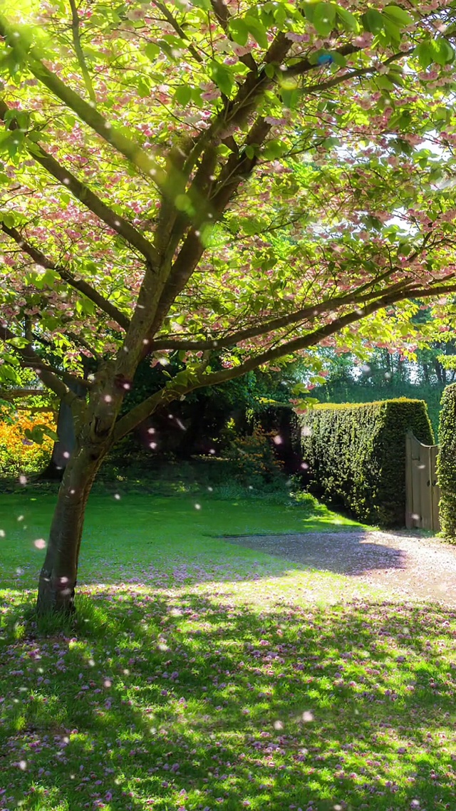 你的善良，人不知，天知；最后都会变成以后人生路上遇见的惊喜和好运。