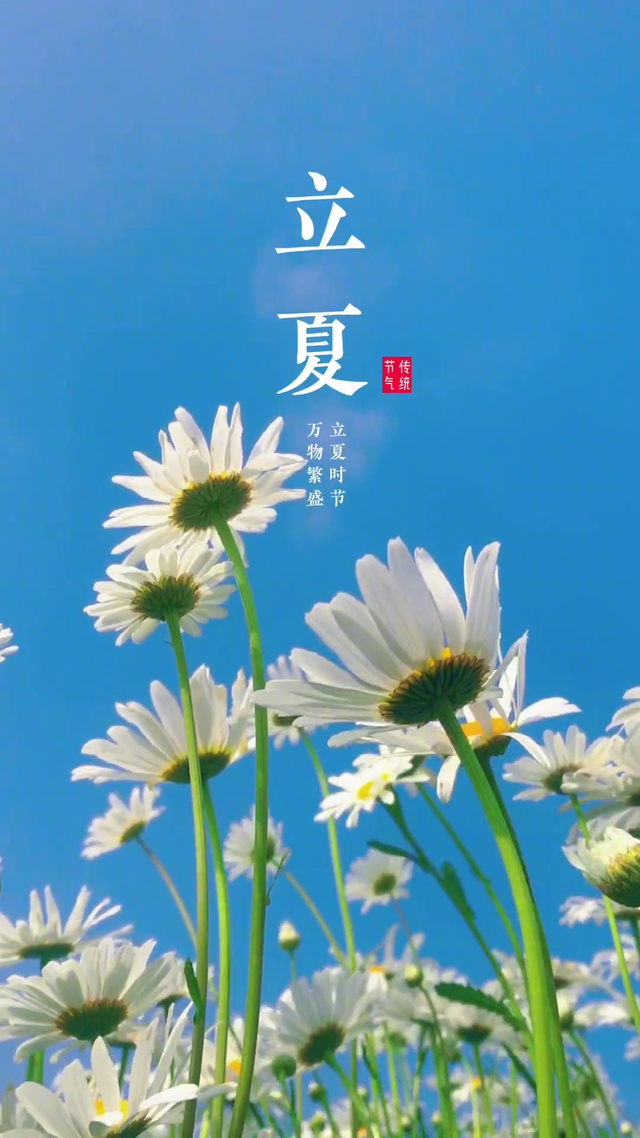 立夏
